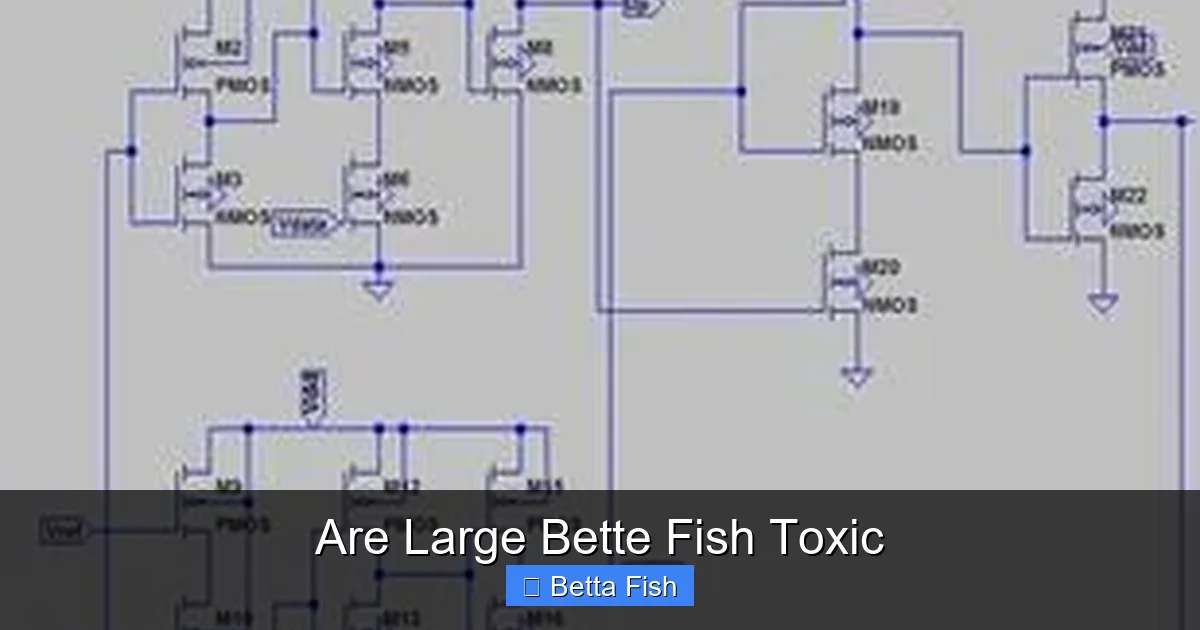 Are Large Bette Fish Toxic