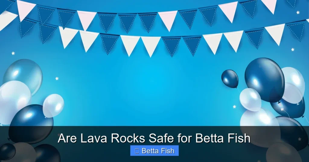 Are Lava Rocks Safe for Betta Fish