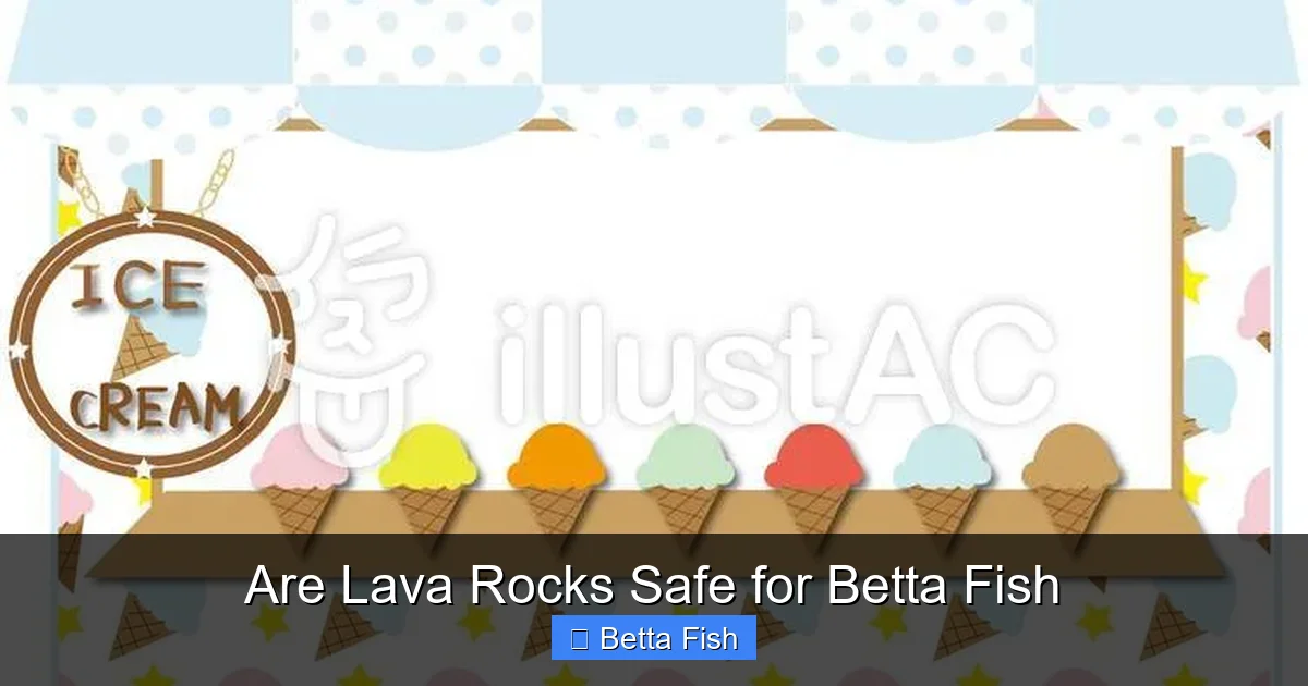 Are Lava Rocks Safe for Betta Fish