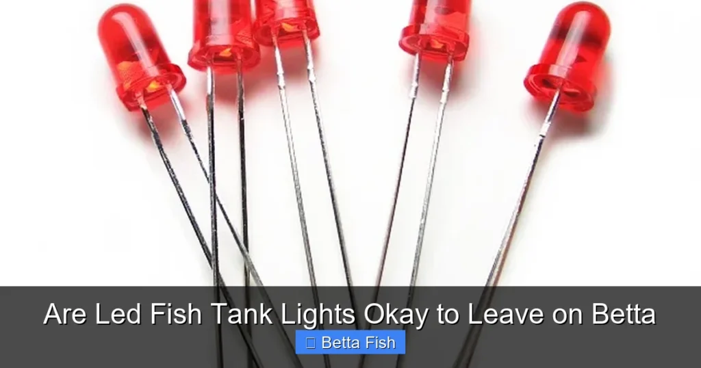 Are Led Fish Tank Lights Okay to Leave on Betta