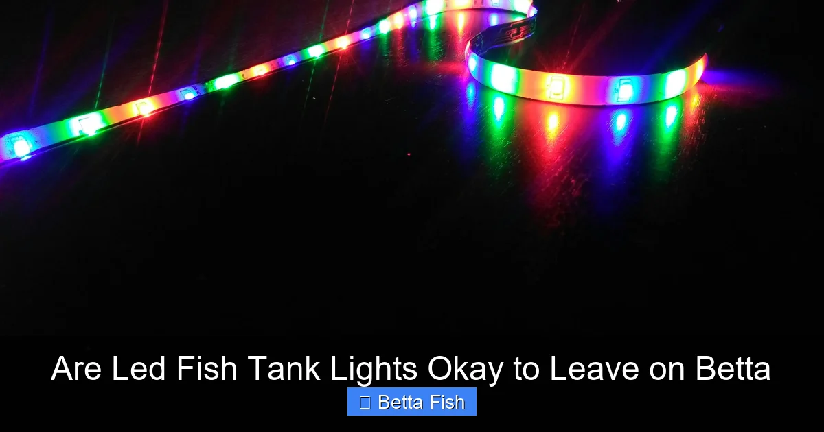 Are Led Fish Tank Lights Okay to Leave on Betta