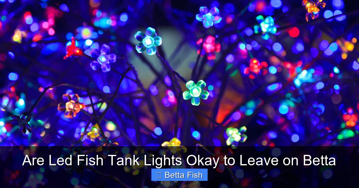 Are Led Fish Tank Lights Okay to Leave on Betta