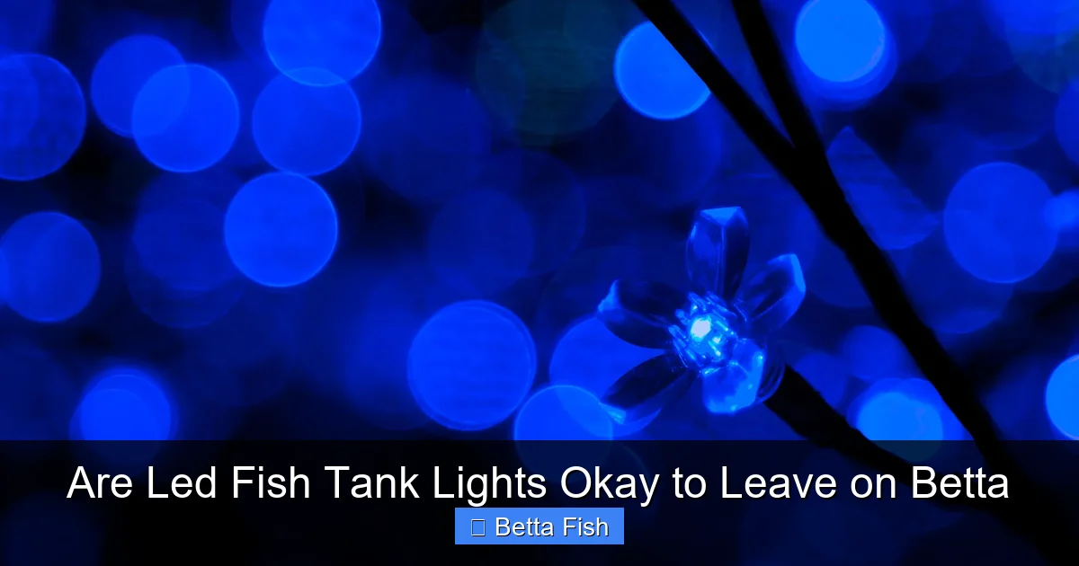 Are Led Fish Tank Lights Okay to Leave on Betta