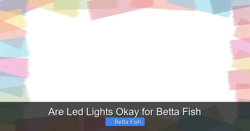Are Led Lights Okay for Betta Fish