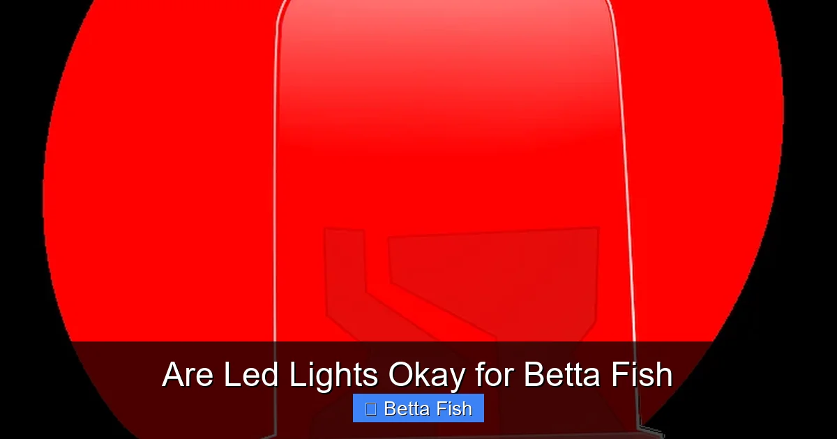 Are Led Lights Okay for Betta Fish