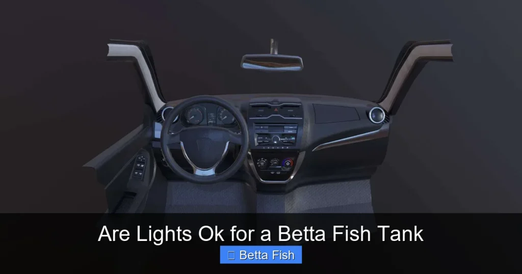 Are Lights Ok for a Betta Fish Tank