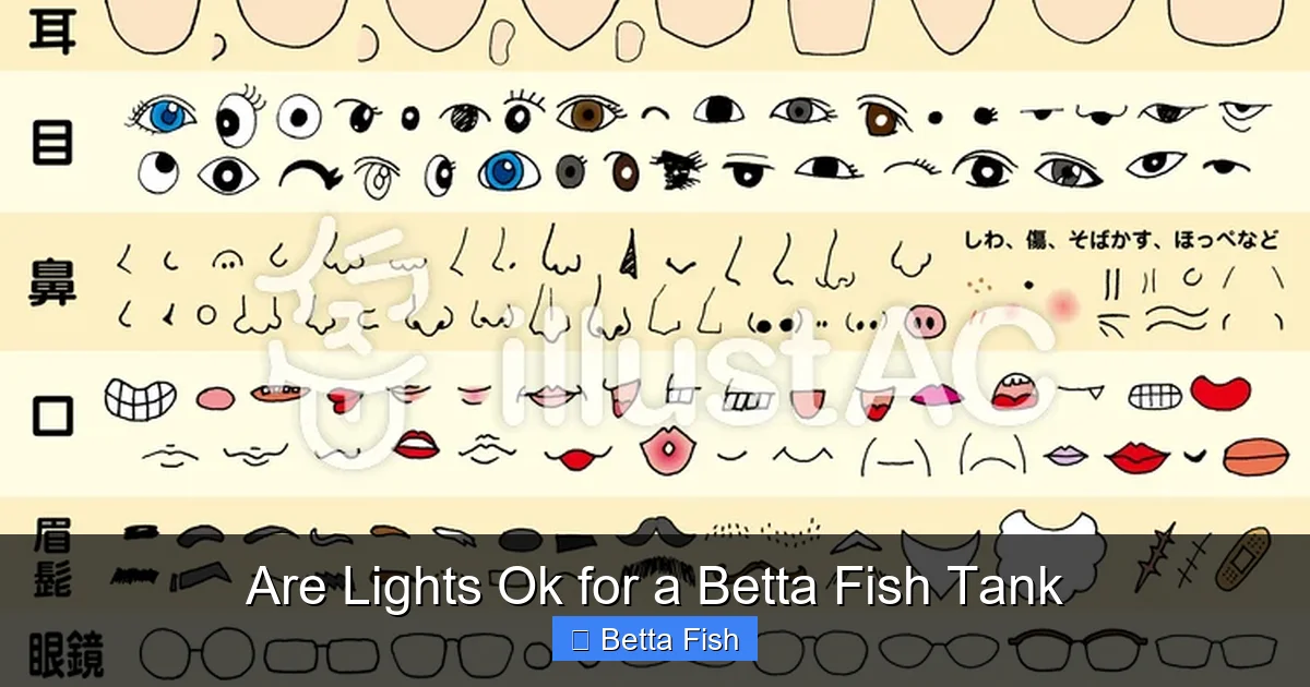Are Lights Ok for a Betta Fish Tank