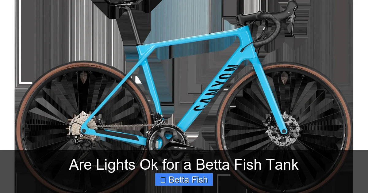 Are Lights Ok for a Betta Fish Tank