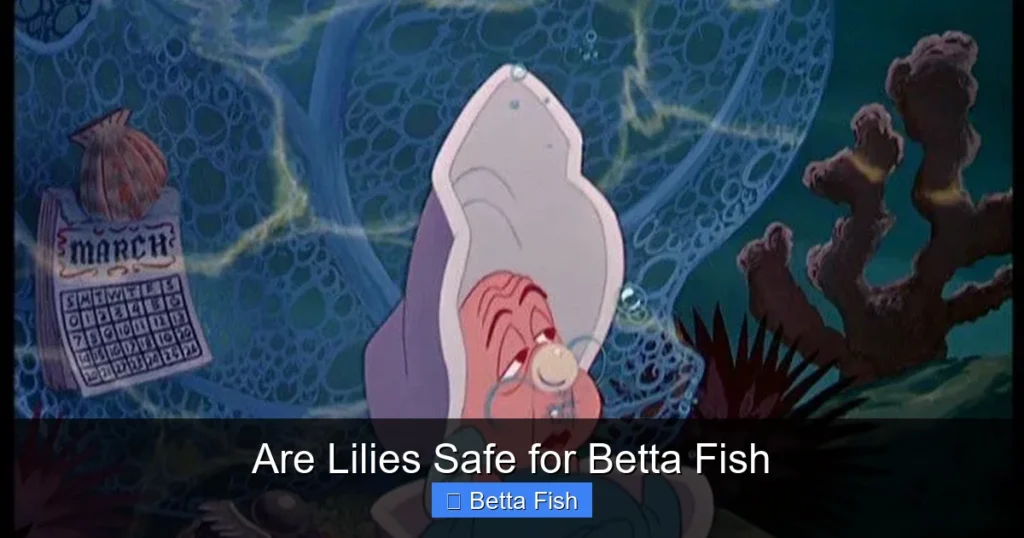 Are Lilies Safe for Betta Fish