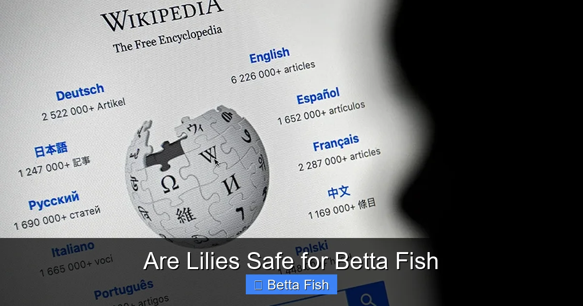 Are Lilies Safe for Betta Fish