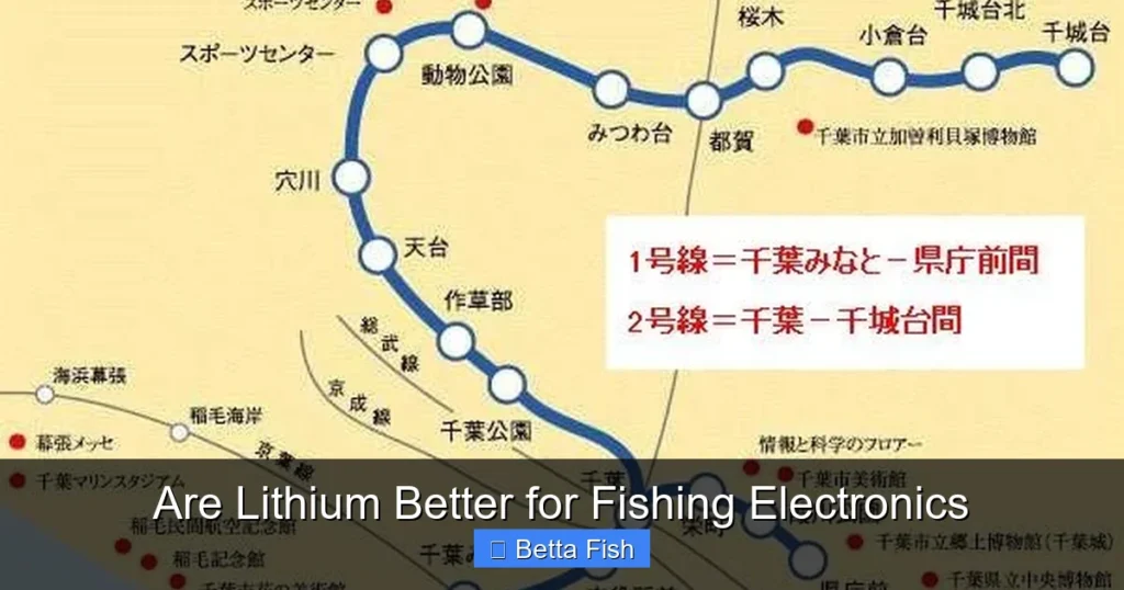 Are Lithium Better for Fishing Electronics