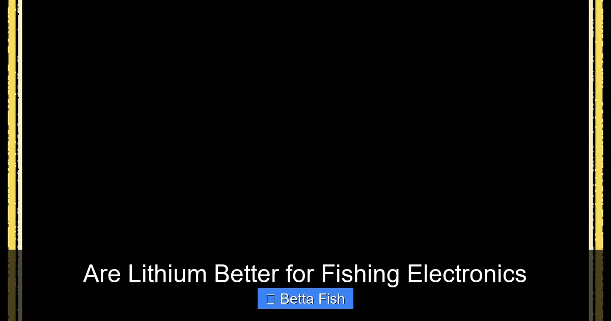Are Lithium Better for Fishing Electronics