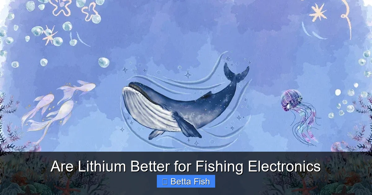 Are Lithium Better for Fishing Electronics