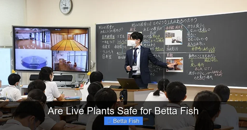 Are Live Plants Safe for Betta Fish