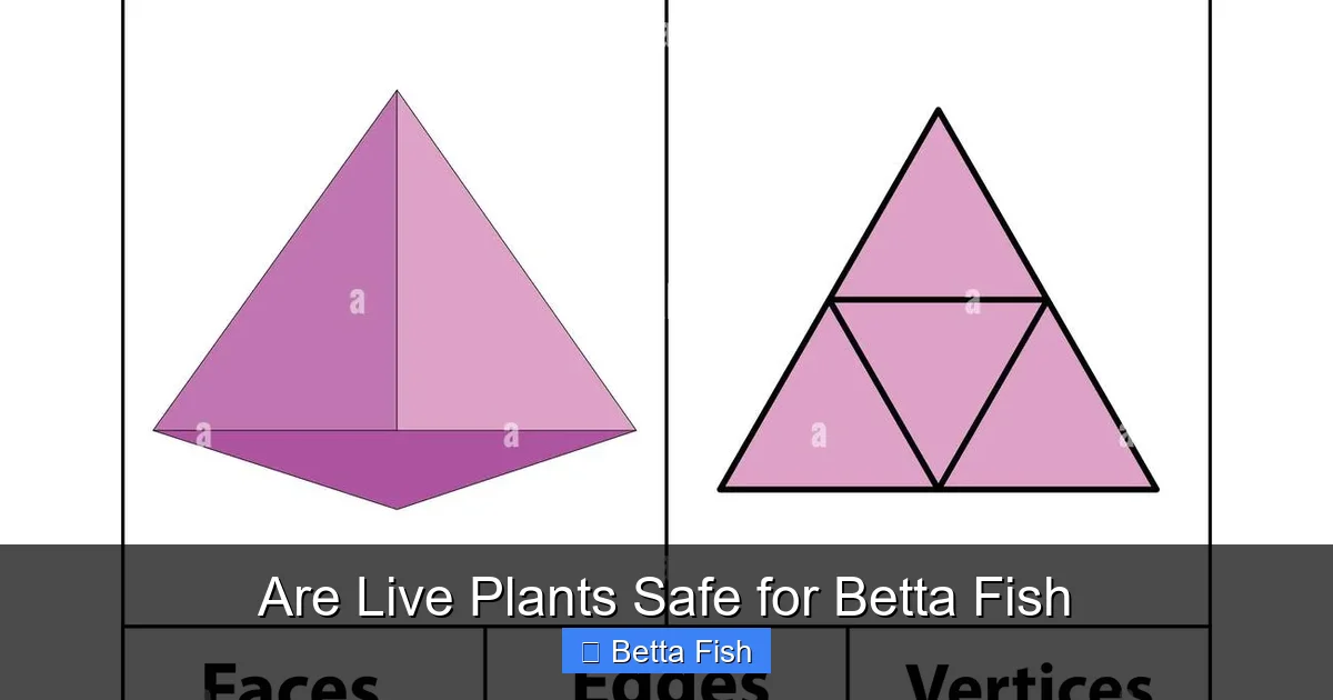 Are Live Plants Safe for Betta Fish