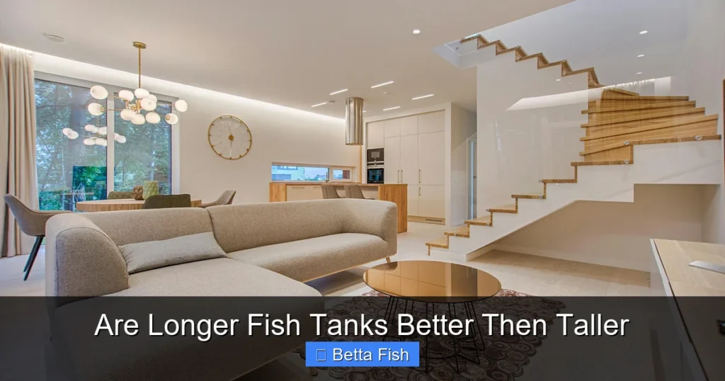 Are Longer Fish Tanks Better Then Taller