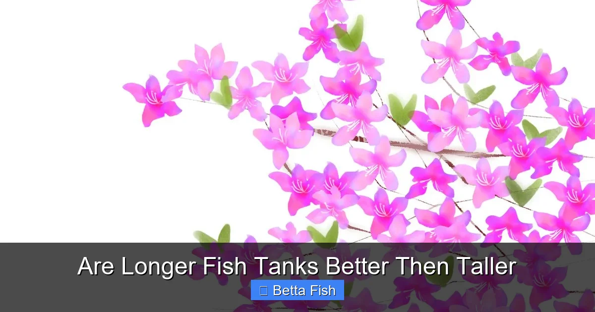 Are Longer Fish Tanks Better Then Taller