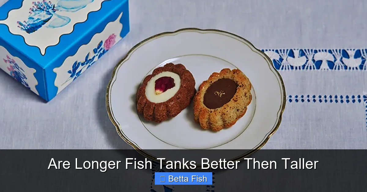 Are Longer Fish Tanks Better Then Taller
