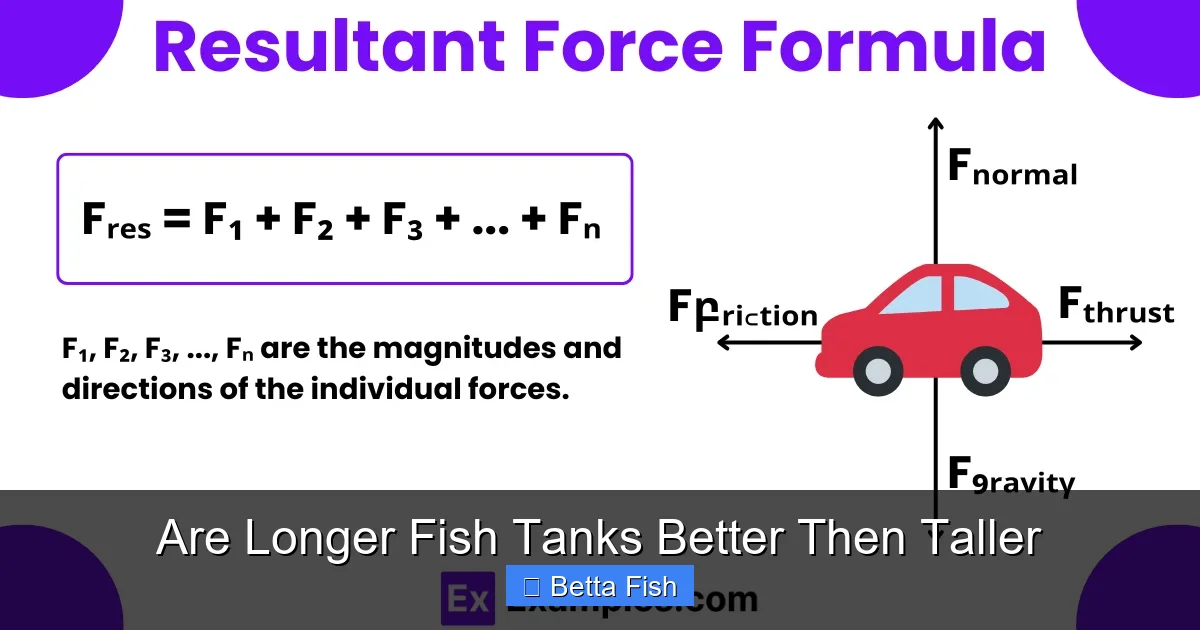 Are Longer Fish Tanks Better Then Taller