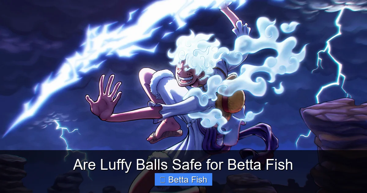 Are Luffy Balls Safe for Betta Fish