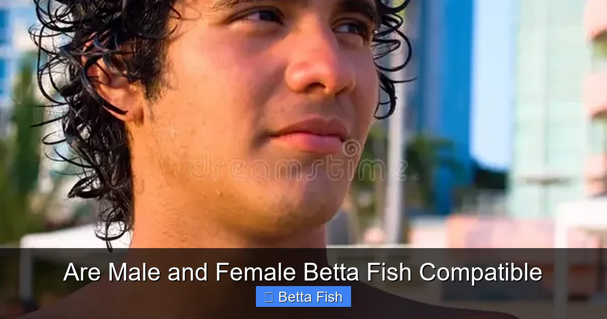 Are Male and Female Betta Fish Compatible