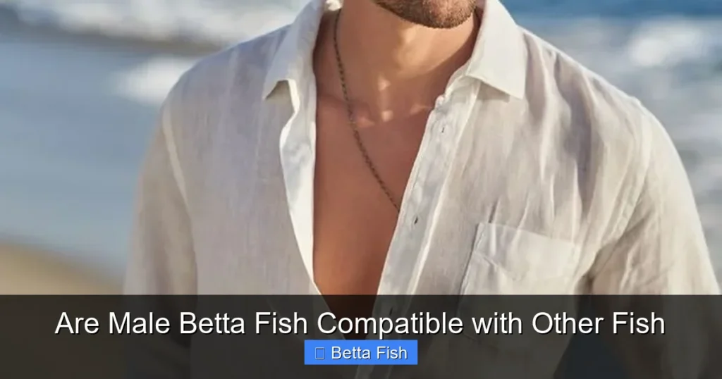 Are Male Betta Fish Compatible with Other Fish