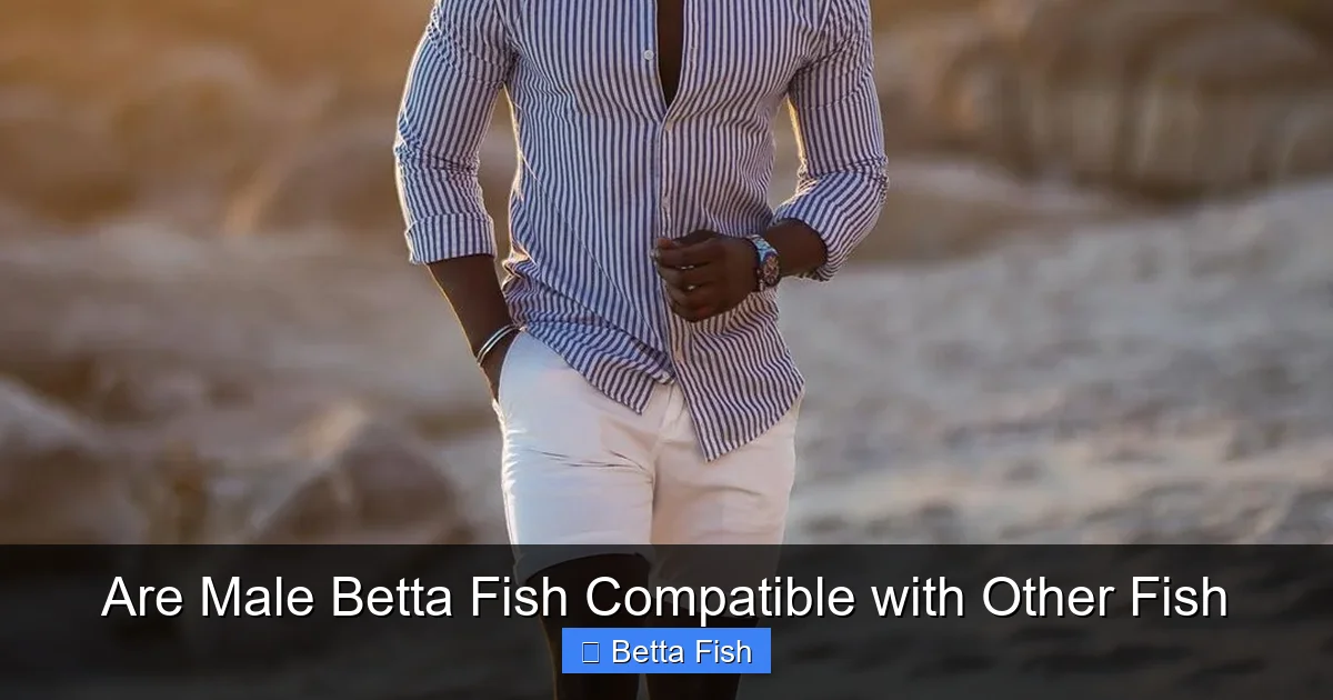 Are Male Betta Fish Compatible with Other Fish