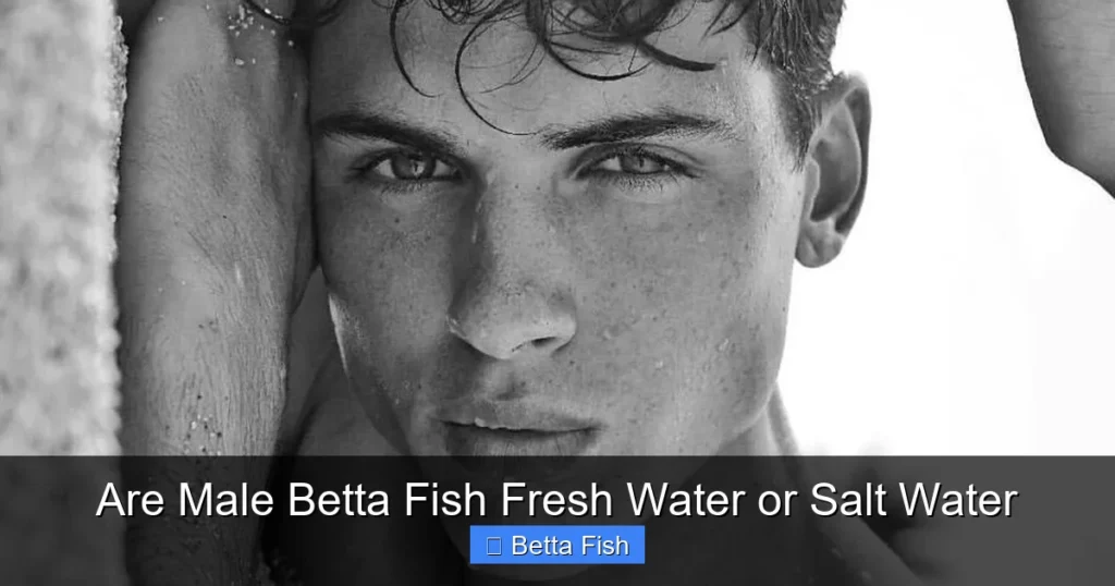 Are Male Betta Fish Fresh Water or Salt Water
