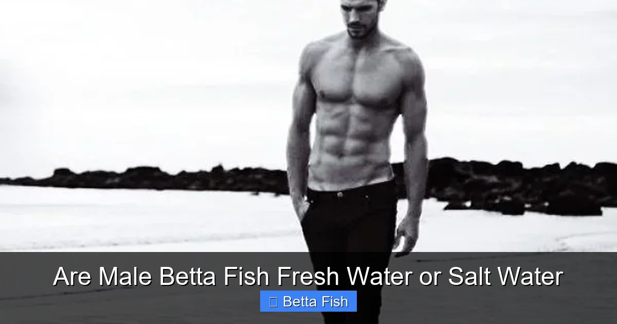 Are Male Betta Fish Fresh Water or Salt Water