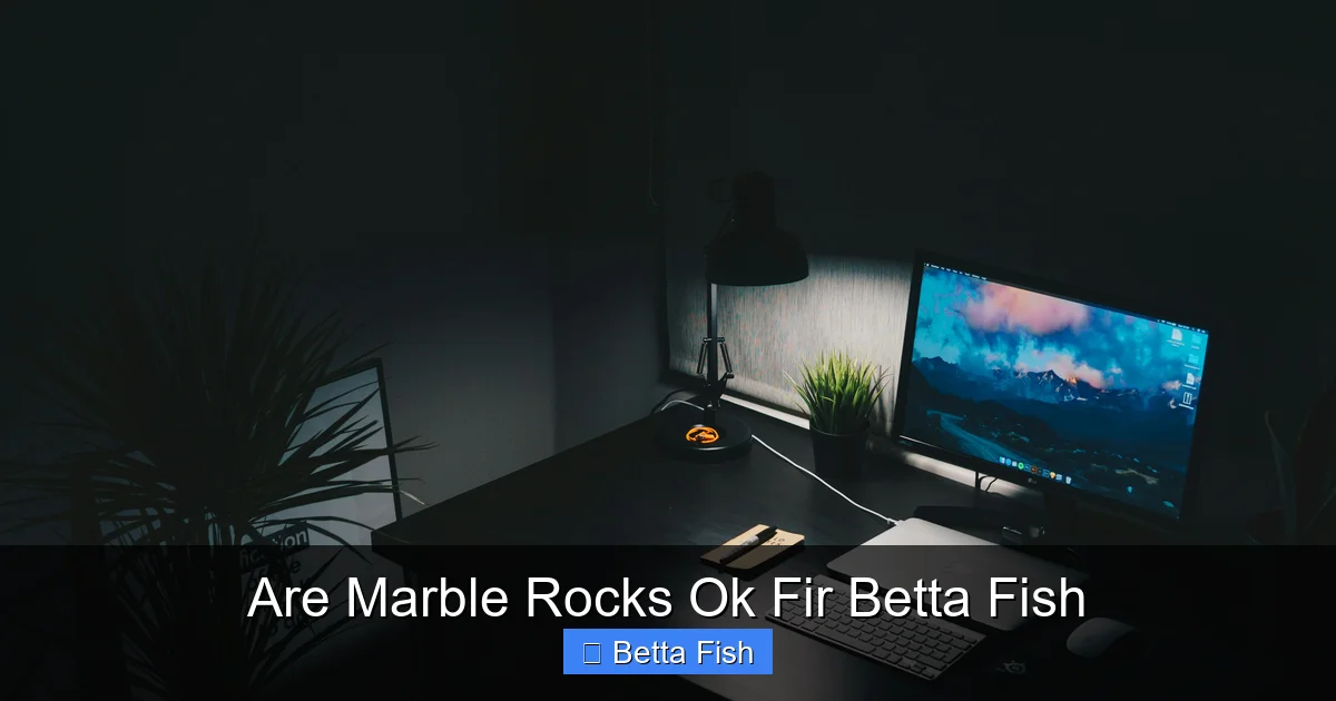 Are Marble Rocks Ok Fir Betta Fish