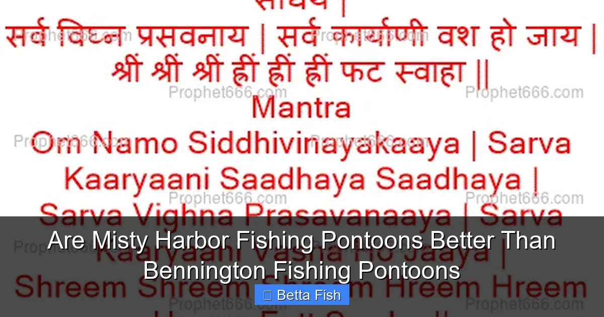 Are Misty Harbor Fishing Pontoons Better Than Bennington Fishing Pontoons