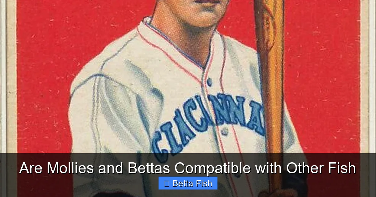 Are Mollies and Bettas Compatible with Other Fish