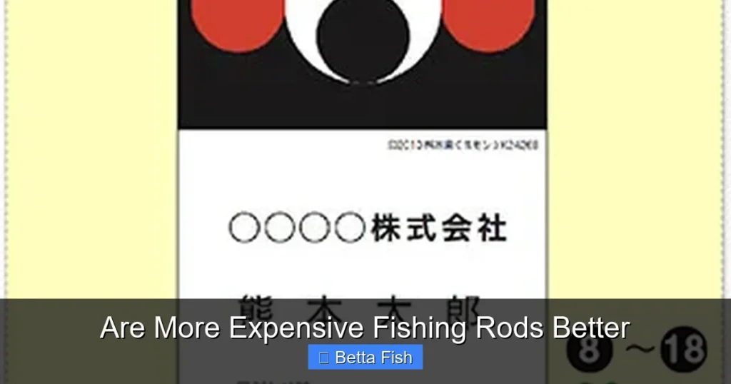 Are More Expensive Fishing Rods Better