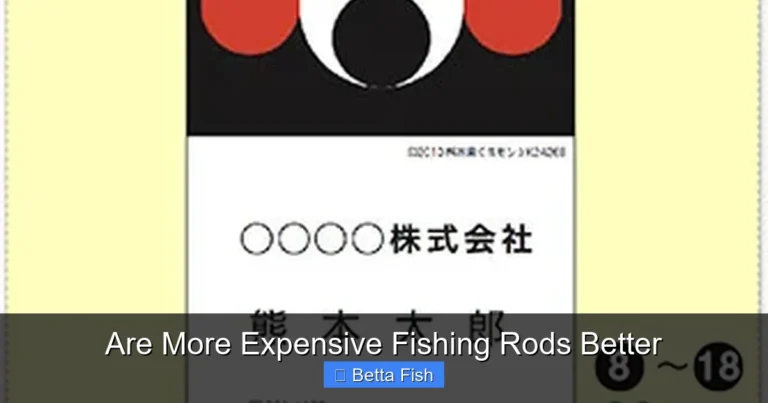 Are More Expensive Fishing Rods Better