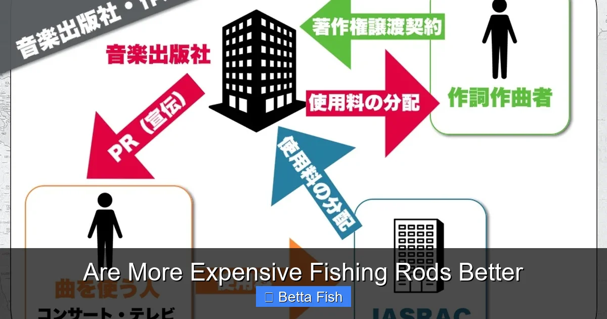 Are More Expensive Fishing Rods Better