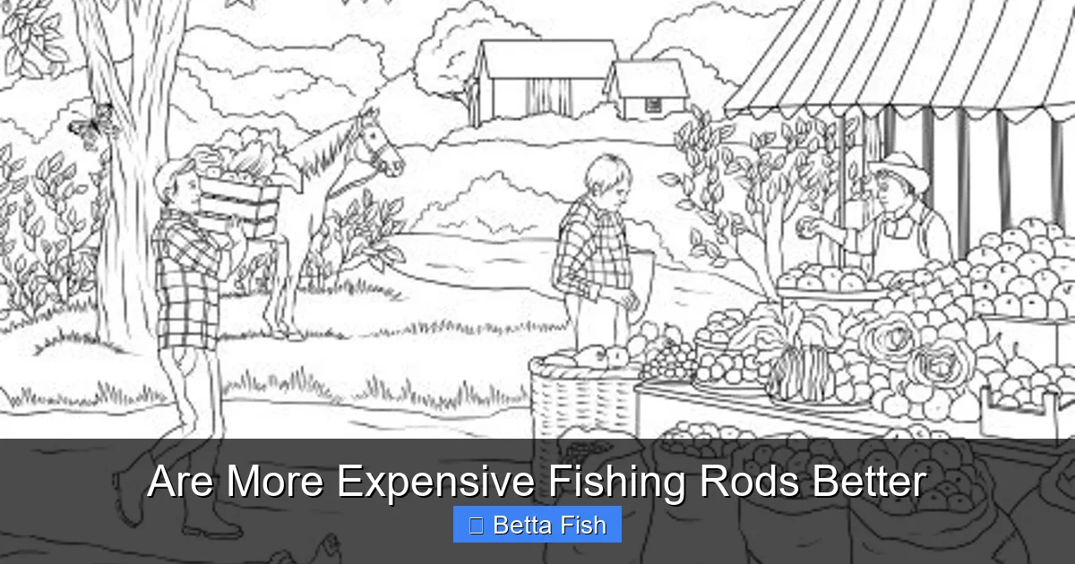 Are More Expensive Fishing Rods Better