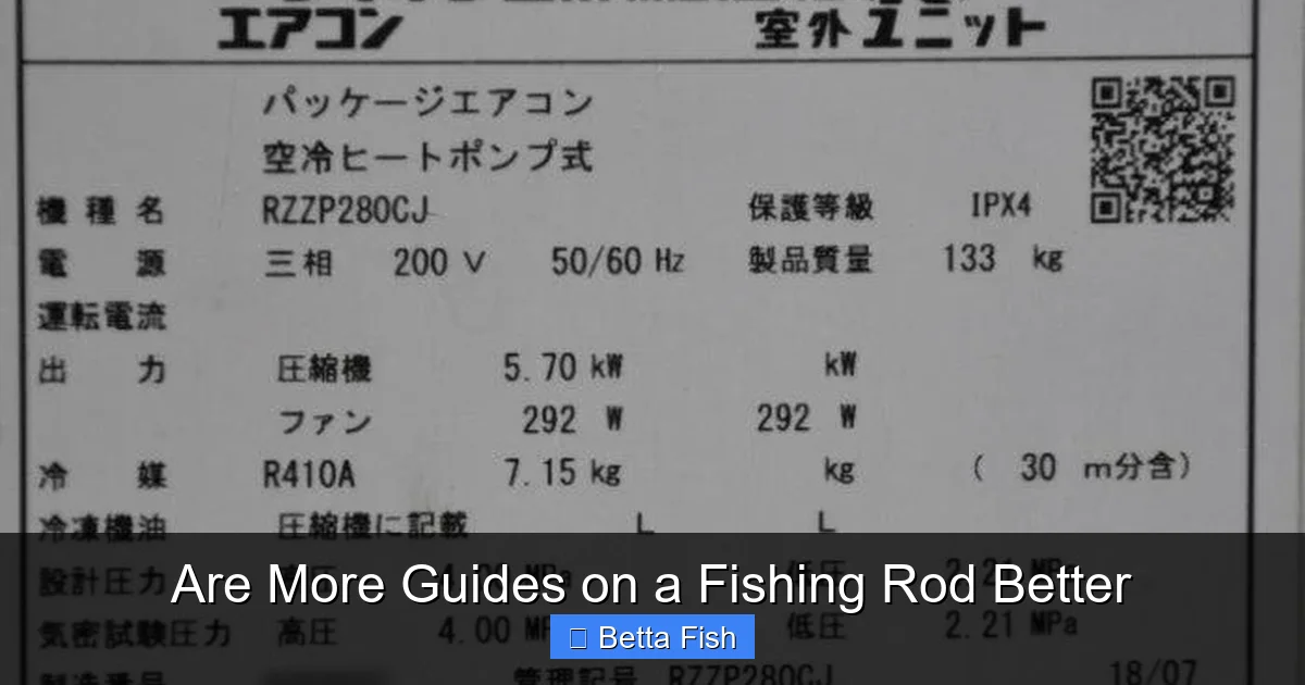 Are More Guides on a Fishing Rod Better