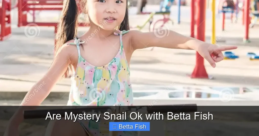 Are Mystery Snail Ok with Betta Fish