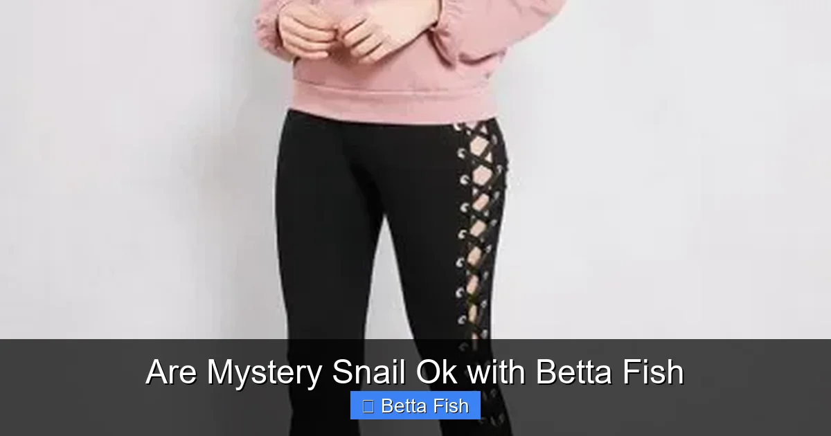 Are Mystery Snail Ok with Betta Fish