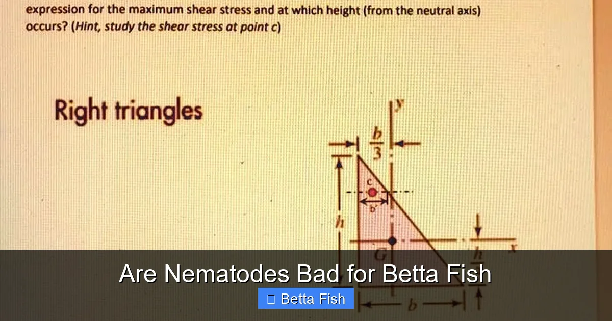 Are Nematodes Bad for Betta Fish