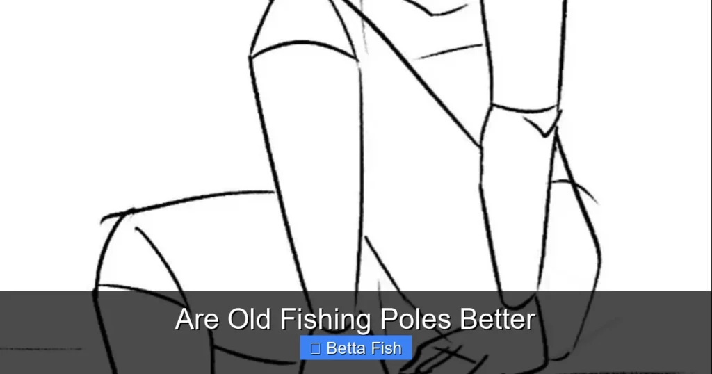 Are Old Fishing Poles Better