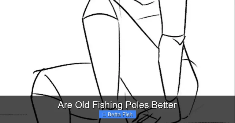 Are Old Fishing Poles Better