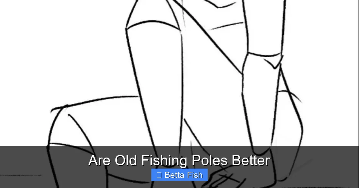 Are Old Fishing Poles Better