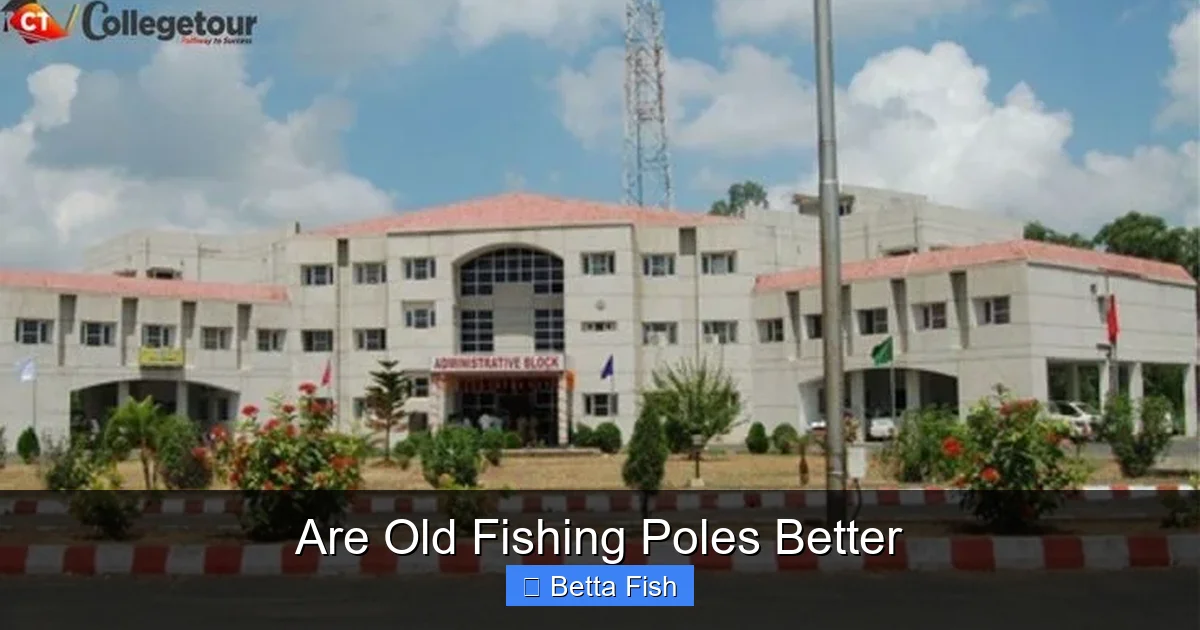 Are Old Fishing Poles Better