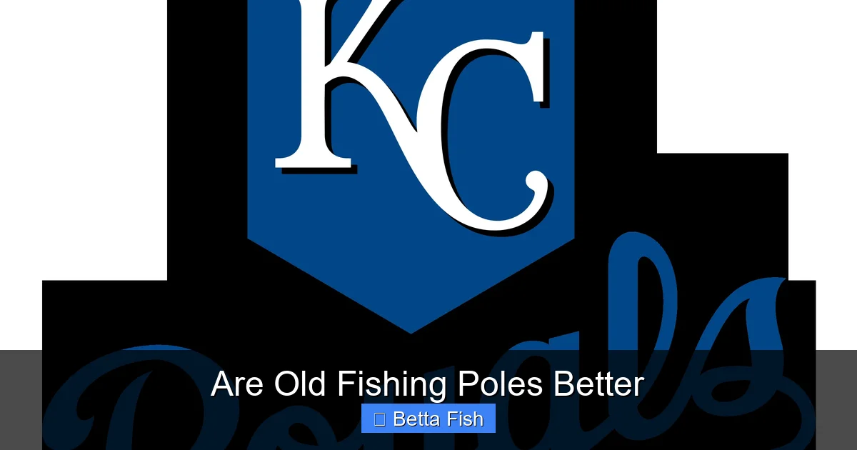 Are Old Fishing Poles Better