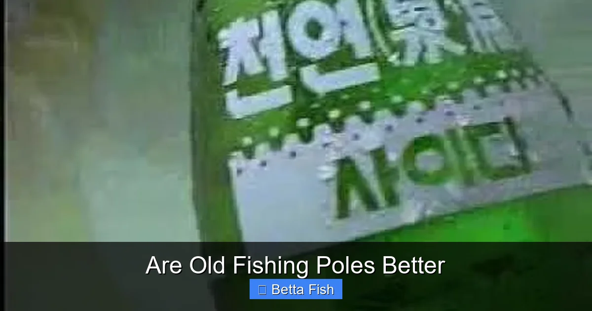 Are Old Fishing Poles Better