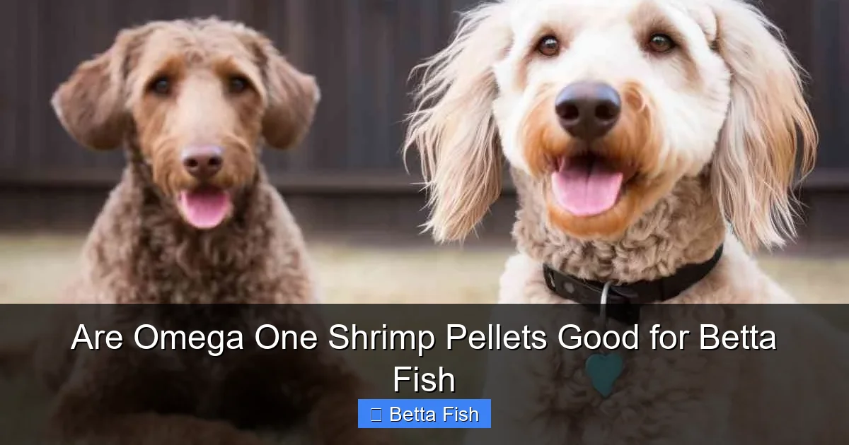 Are Omega One Shrimp Pellets Good for Betta Fish
