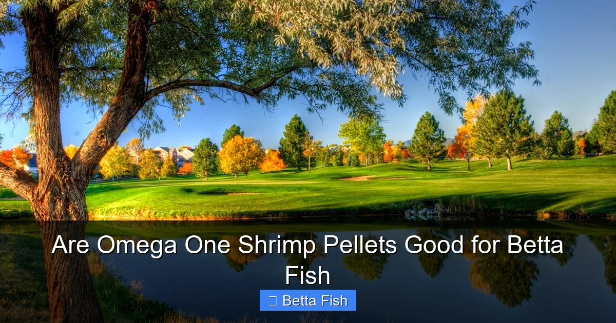 Are Omega One Shrimp Pellets Good for Betta Fish