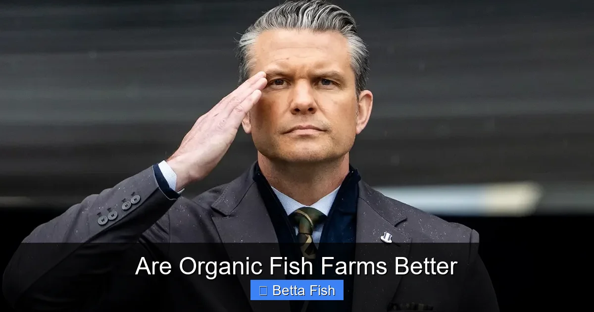 Are Organic Fish Farms Better