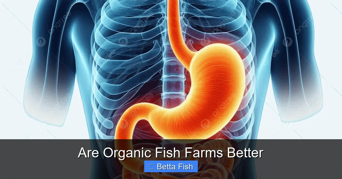 Are Organic Fish Farms Better